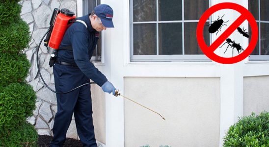 Doğanlar Böcek ve Haşere İlaçlama böcek ilaçlama ve haşere kontrolü — ilaclama-tr.com